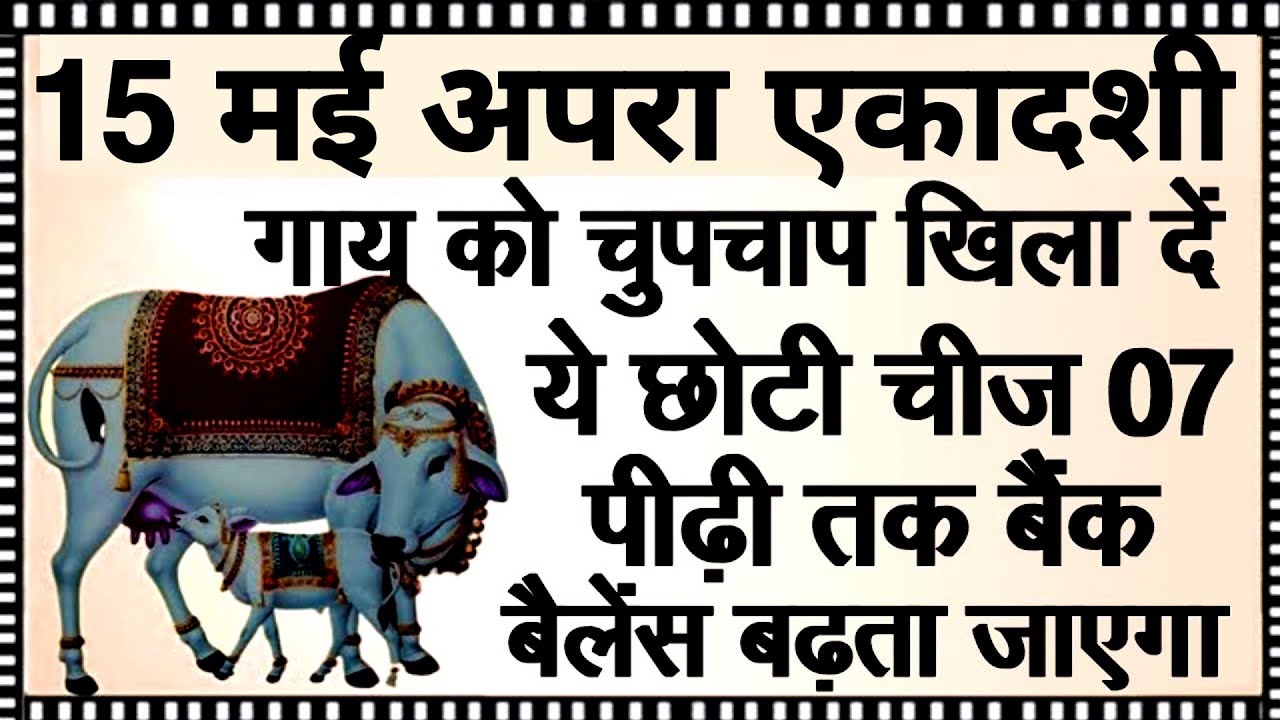 15 ਮਈ ਅਪਰਾ ਇਕਾਦਸ਼ੀ ਨੂੰ ਗਾਂ ਨੂੰ ਚਾਰਾ 🤫 ਇਹ 1 ਚੀਜ਼ ਸਾਲ ਭਰ ਪੈਸਾ ਖਿੱਚੇਗੀ ਸਾਰੀਆਂ ਪਰੇਸ਼ਾਨੀਆਂ ਦੂਰ ਹੋ ਜਾਣਗੀਆਂ।