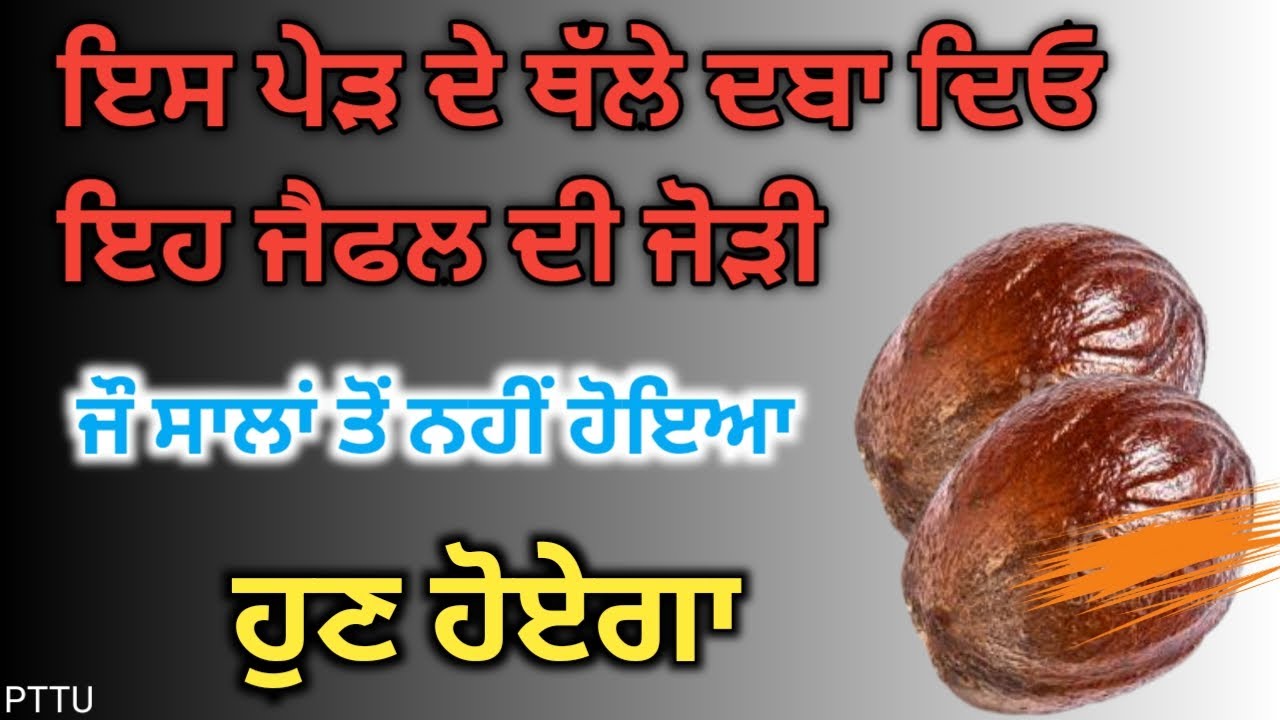 Punjabi totke te upay|जायफल का जोड़ा दबा दो इस जगह उसी दिन से राजा जैसी जिंदगी जियोगे #upay #punjabi