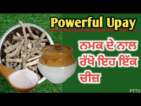 Punjabi totke te upay/ ਅਮੀਰ ਬਣਨਾ ਚਾਹੁੰਦੇ ਹੋ ਤਾਂ ਹਮੇਸ਼ਾ ਨਮਕ ਪਾ ਕੇ ਰੱਖੋ ਇਹ ਚੀਜ਼ #upay #punjabi #video