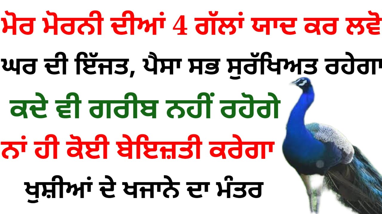 ਇੱਕ ਸਾਲ ਤੋਂ ਵੱਧ ਪਹਿਲਾਂ 4 ਸਾਲ ਪਹਿਲਾਂ ਇੱਕ ਸਾਲ ਤੋਂ ਵੱਧ Sab Safe ਤਾਜ਼ਾ ਗੁਰਬਾਣੀ ਕਥਾ ਵਿਚਾਰ